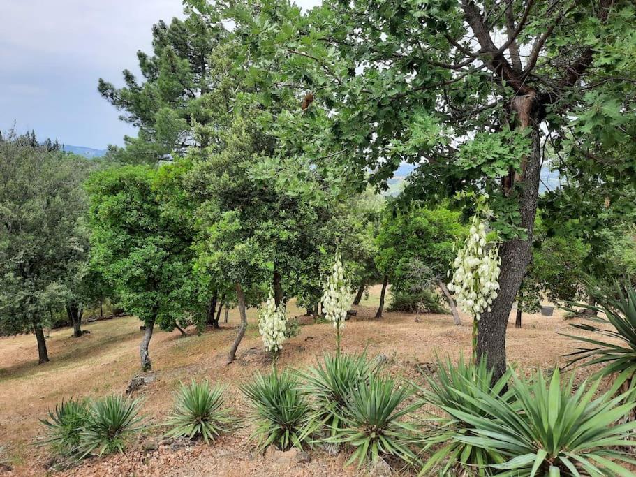 Villa Tutti I Colori Del Chianti Linari Ngoại thất bức ảnh