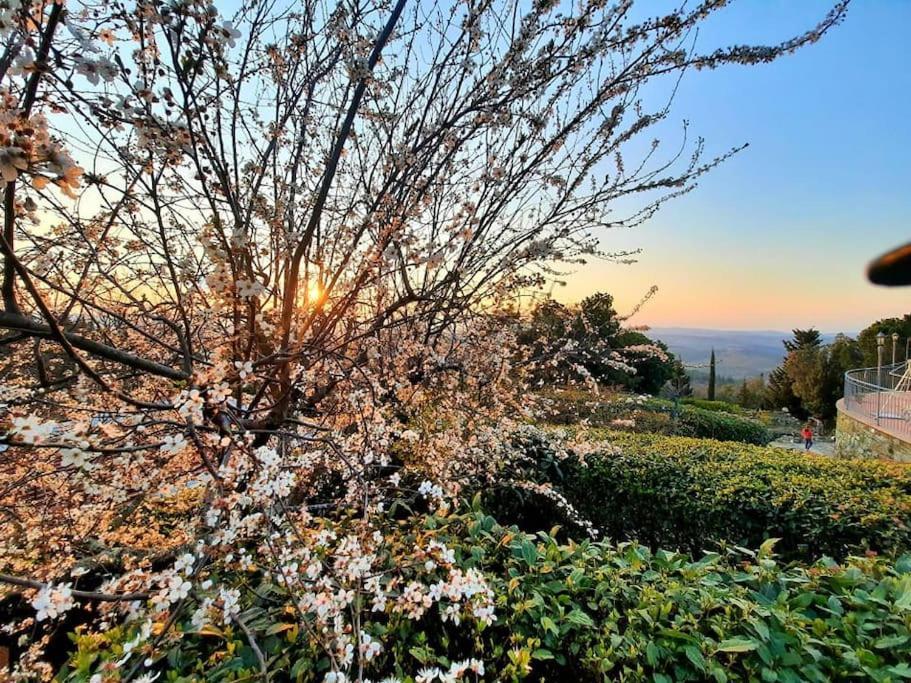 Villa Tutti I Colori Del Chianti Linari Ngoại thất bức ảnh