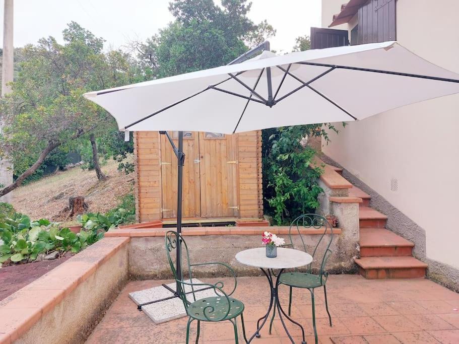Villa Tutti I Colori Del Chianti Linari Ngoại thất bức ảnh